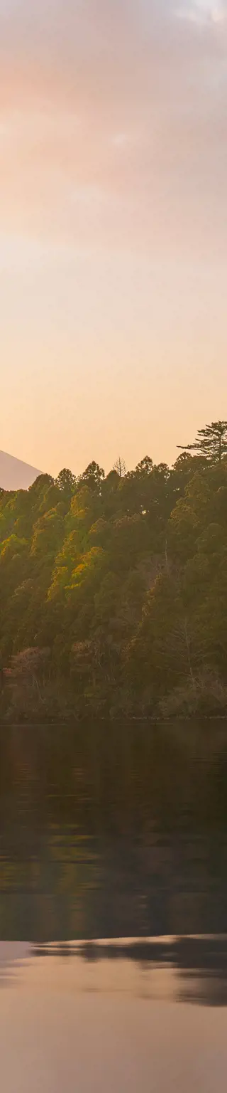 Ein Spaziergang im Mt. Fuji/Hakone Nationalpark